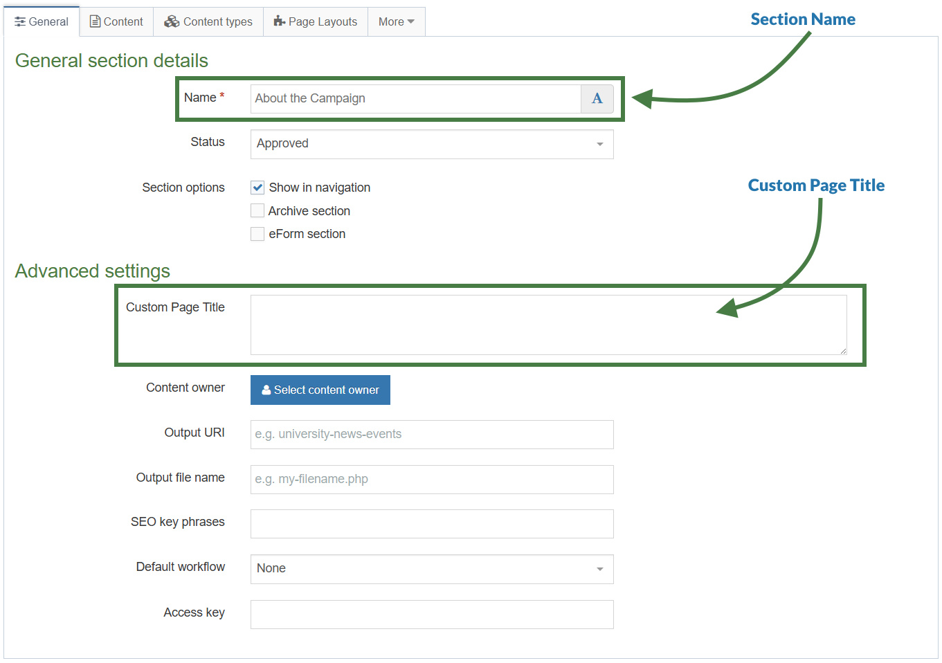 Section name and custom page title elements in the general tab of a section