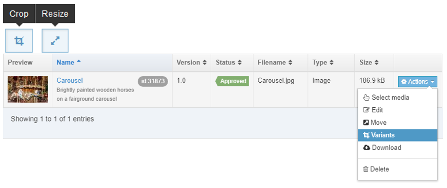 Image variants (crop and resize)