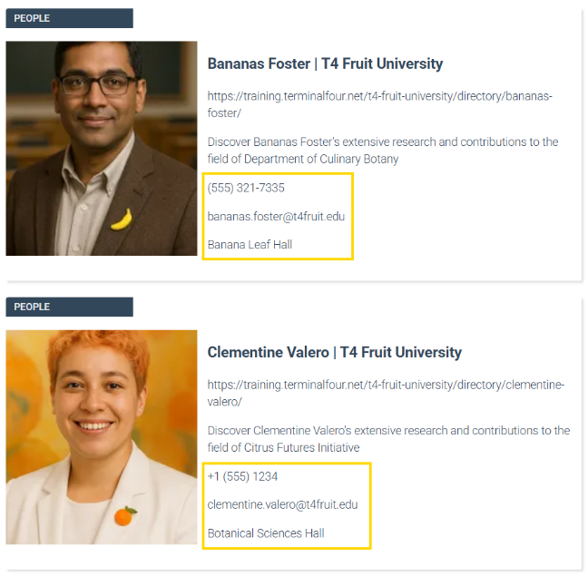 SERP showing unmapped fields in Results Cards