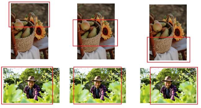 Screenshots showing example of how different images would be cropped to make a landscape image
