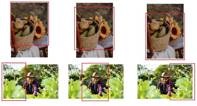 Screenshots showing example of how different images would be cropped to make a portrait image