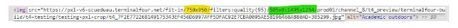 Screenshot showing example of how a URL of a image will look like in preview with cropping applied